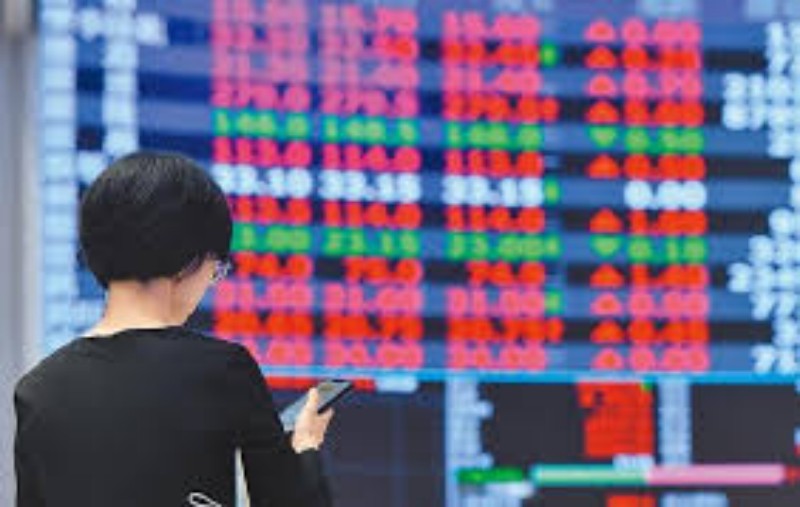 熊市洗礼：挑战与机遇并存的投资环境