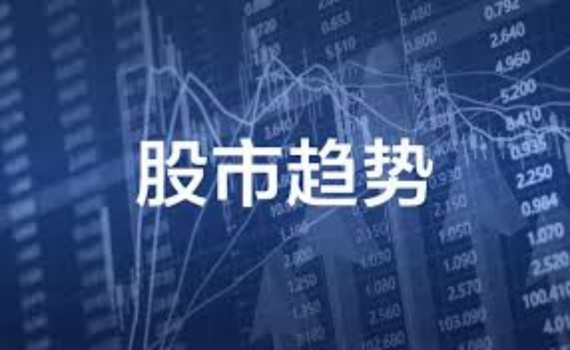 机构持仓走势分析：市场波动下的冷静观察