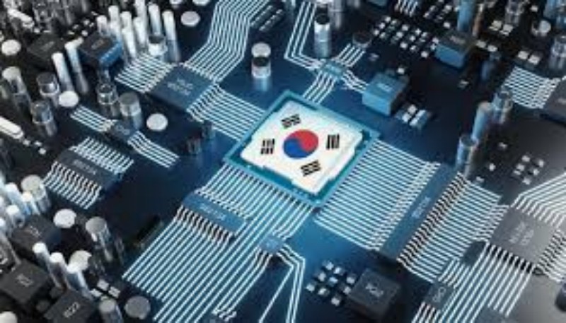 揭秘散户行为：回顾2022年第一季度股市波动的背后故事